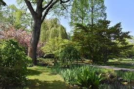 Hier finden sie tipps, wie sie einen japanischen garten planen und anlegen. Ingrids Welt Deutschland Rheinland Japanischer Garten Leverkusen
