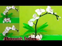 We did not find results for: Cara Membuat Bunga Anggrek Bulan Dari Plastik Kresek Youtube Anggrek Bunga Kreatif