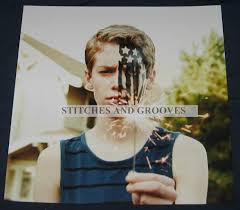 American beauty/american psycho is a song by american rock band fall out boy. Fall Out Boy American Beauty American Psycho Insert 2 Stitches And Grooves