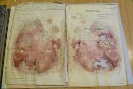 Mold grows in humid and dark places as well as those areas of your home that are not exposed to much airflow, for example they can either get rid of the mold for you or rebind the book to ensure it lasts for the foreseeable future. Mold Control And Prevention In Libraries Wikipedia