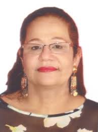 SÚMULA DA REUNIÃO Nº 8/2021