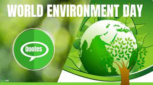 When we throw away anything, we should pay heed to whether it could be reused or not. World Environment Day Slogans And Quotes Yourselfquotes