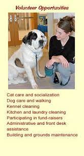 Humane Society Dog Care Humane Society Animal Shelter