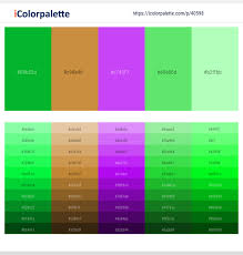 Check spelling or type a new query. 1 Latest Color Schemes With Pastel Green And Mint Green Color Tone Combinations 2021 Icolorpalette