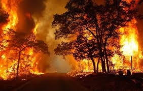 I'll update this page as news and images come in. 2017 Bc Wildfires Legacy Place Society Support Legacy Place Society