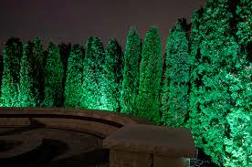 Tree Lighting Outdoor Lighting In Chicago Il Outdoor Accents