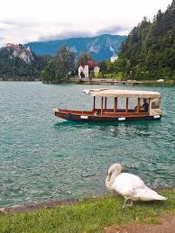 Bleder See Und Burg Bled Slowenien Urlaub Slowenien Und Roadtrip
