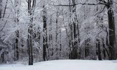 Image result for sedmihradský honič