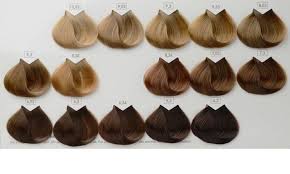 l oreal professionnel majirel haarfarbe l oreal professionnel loreal dye