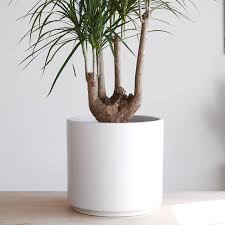 Surrender Your Stress And Bring Nature Indoors With The Potted Earth Co Modern Designer P Large Indoor Planters Planter Pots Indoor Mid Century Modern Planter