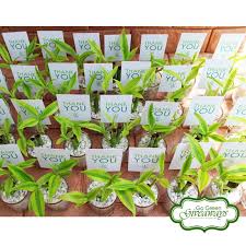 Wedding Favors Ecowraps Succulents With Lace Succulents Philippines Philippine Wedding Manila W Wedding Gift Favors Wedding Favors Creative Wedding Favors