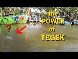 Mancing Ikan Di Jomblom Cepiring Kendal Vlog 11 Youtube