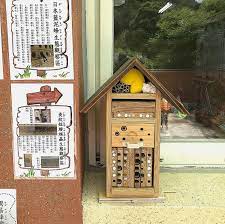 10 護蜂也是好生意 獨居蜂旅館熱門 幫吃田間害蟲 50年來最慘蜂況 搶救蜜蜂大作戰 全球護蜂風潮 outdoor decor bird house decor