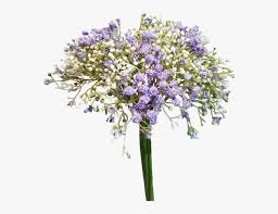 Purple flowers used in bouquets. Clip Art Flower Png For Purple Flowers Bouquet Baby S Breath Transparent Png Kindpng