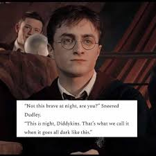 HarryPotter Sassy Harry Harry lines that should've should'vemadeittothe ve  made it to the movies "I know what day it is," Dudley repeated, coming  right up to him. "Well done," said Harry. "So