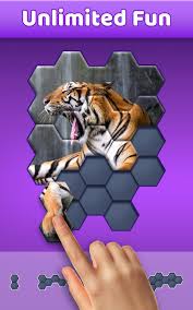 Check spelling or type a new query. Hexa Jigsaw For Android Apk Download
