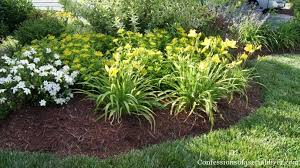 Check spelling or type a new query. Front Yard Makeover One Year Later Confessions Of A Serial Do It Yourselfer
