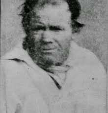 19th century photographer cohort