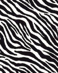 Skins Bold Zebra Stripes Black White Animal Print Wallpaper Animal Print Background Black And White Photo Wall