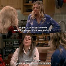 Pin On The Big Bang Theory