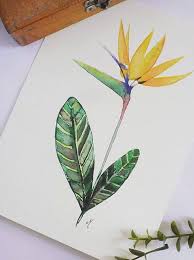 Bird Of Paradise Plant Watercolor Original Watercolor Painting Bird Of Paradise Watercolor Original Artwork Flower Drawing Watercolor Flowers Paintings Watercolor Paintings