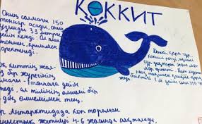Que Es El Juego De La Ballena Azul Las 50 Pruebas Del Reto Viral Mas Macabro Las Provincias