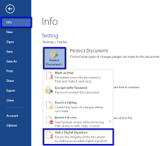 Go to the insert tab and in the text group click signature line. Sign Microsoft Office 2013 2010 2007 Documents Digicert Com