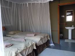 Search over 279 rooms, flatshare and houses to share from owners, estate agents and developers. Twin Sharing Double Room The Buffalo Lodge