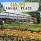 Annual Flowering Flats Sale