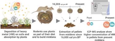 Skog s drape to check whether gurun has been looted copy and paste this command into the chat window. Variations In Local Heavy Metal Concentrations Over The Last 16 000 Years In The Central Atacama Desert 22 S Measured In Rodent Middens Sciencedirect