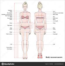 Woman Body Measurement Chart Scheme Measurement Human Body
