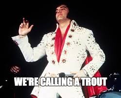 We did not find results for: The Funniest Misheard Song Lyrics Ever Heart