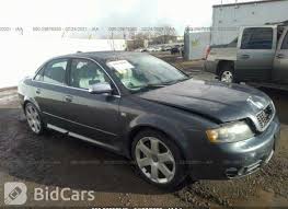 Image result for Dolphin Gray 2004 S4