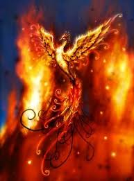 Phoenix Rising From The Ashes My Ultimate Tattoo Phoenix Bird Tattoos Phoenix Art Phoenix Bird