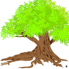When i first moved to los angeles, i thought there must be a neighbor who didn't like me. Los Angeles Trees And Flowers An Illustrated Guide Curbed La