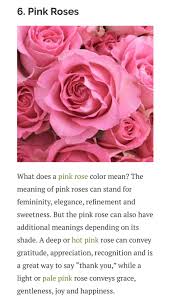 For decades, pink flowers have been used to decorate weddings as a symbol of love. Pink Rose Becoolfloralservice Becool Floral Service Yangon Mdy Facebook
