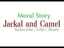 Watch the latest, short and motivational english story named camel and the jackal cartoons for kids. The Camel And The Jackal Story With Moral Lesson In English Youtube