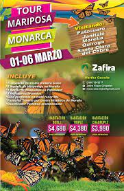 Pin On Monarca