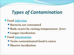 Main sources of food contamination. Food Poisoning