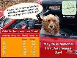 Nohotdogs Car Temperature Heatadvisory For Dogs