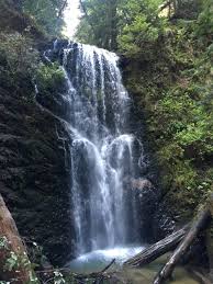 Book your next amazing stay at vrbo®! Big Basin Camping And Hiking Guide Santa Cruz Mountains California Exsplore