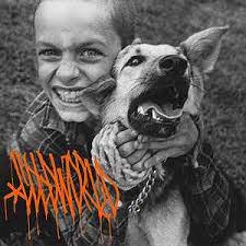 Dillon Perino's Instagram, Twitter & Facebook