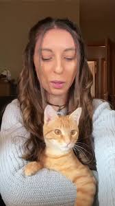 ⚡️ Parece que sí… #CapCut #fyp #acnhespaña #acnl #acnhespañol  #animalcrossingnewleaf #acnh #animalcrossingnewleaf #animalcrossingmeme  #acnhtips #cats #viral #acnhswitch #animalcrossingnewhorizons