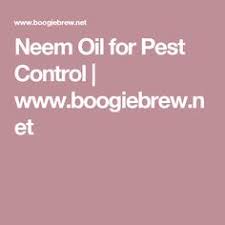 When you call our company, you will be connected to a local pest control professional who is licensed to do business in your state. 900 Pest Control Mice Ideas Pest Control Pest Control Mice Pests