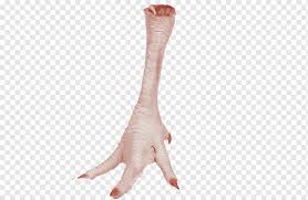 Dragonspine is a region released in version 1.2, the chalk prince and the dragon. it is located south of mondstadt, making it recognizable by its citizens, as quoted by mona from the where ancient stars align event. Kaki Ayam Masakan Brasil Daging Ayam Jeroan Kaki Makanan Hewan Tangan Png Pngwing