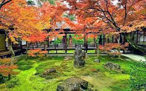 Pin By Taylor Wolf On Zen Modern Japanese Garden Japanese Garden Style Japanese Garden