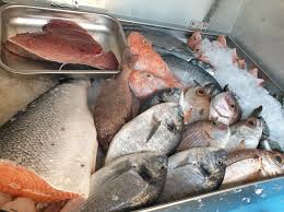 5 likes · 1 talking about this. Tonn Salmon Cipulazz Bazuk Marlene S Daily Fresh Fish Facebook
