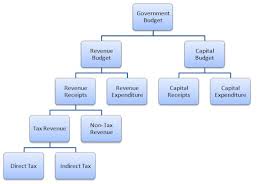 Types Of Government Chart Lovely What Is A Bud Ponents Of