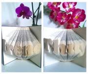 Orimoto faltanleitungen koszenlos | posted by holy moments on sunday, july 18, 2021 we did not find results for: Buch Origami Handmade Kultur