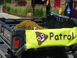 Pin On Explore Reno Tahoe